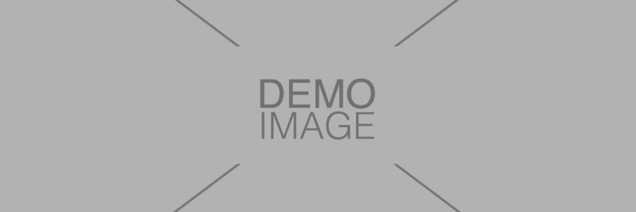 Demo Image Demo Image